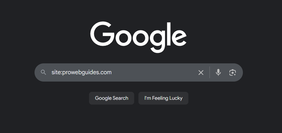 Google search engine interface